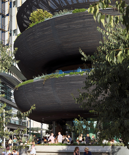 the sculptural timber facade of collins and turner's barangaroo house integrates edible plants