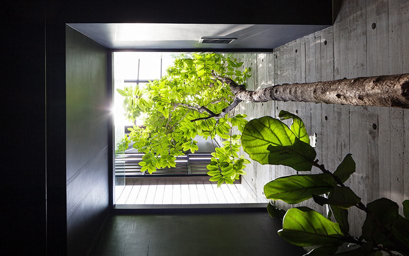 formwerkz incorporates nature seamlessly in singapore residence through porous layout
