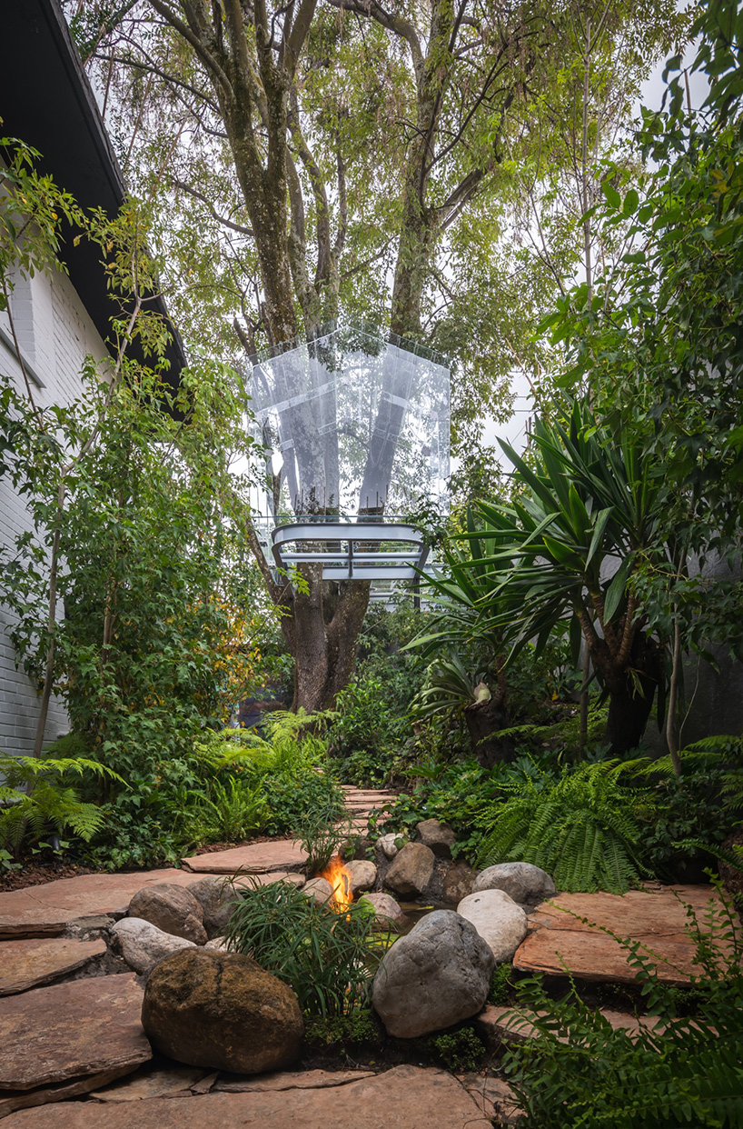 cabane dans un arbre en verre gerardo broissin