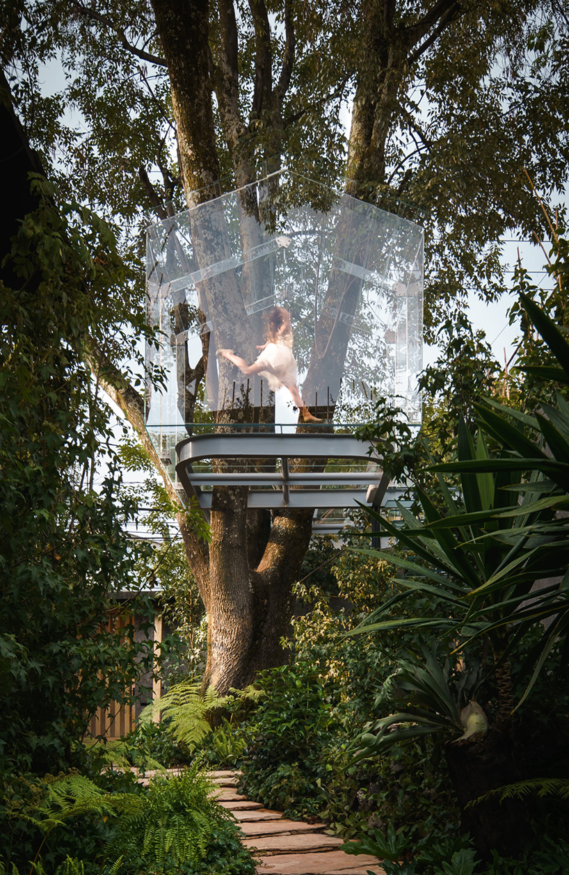 cabane dans un arbre en verre gerardo broissin