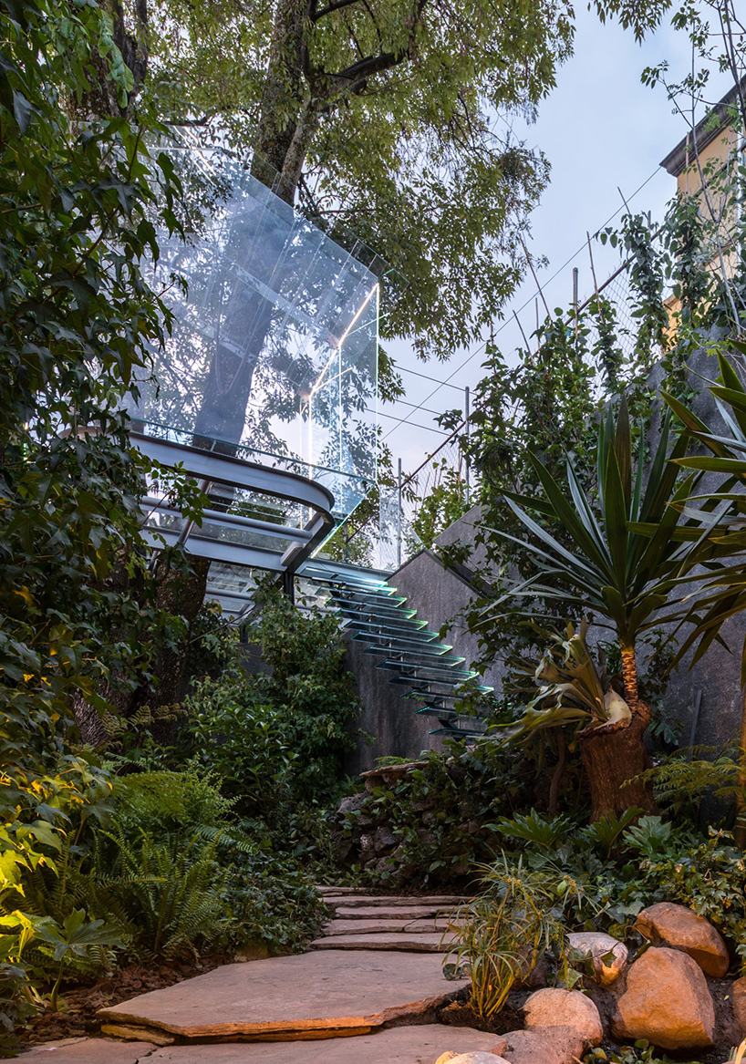 cabane dans un arbre en verre gerardo broissin