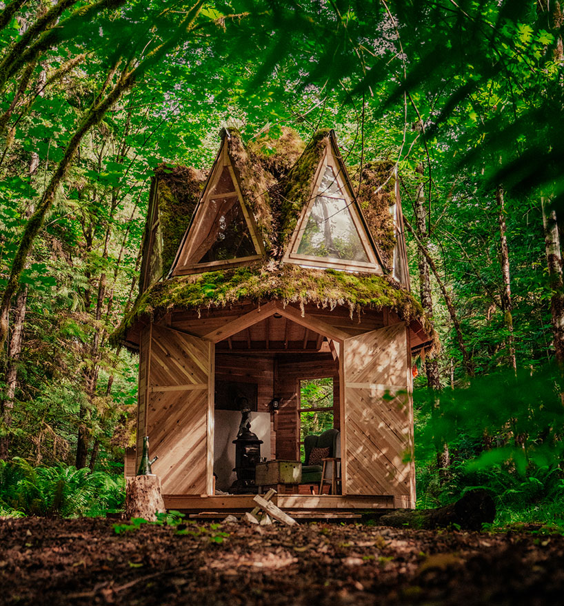 This Tiny Moss Covered Cabin In The Woods Seems Straight Out Of A