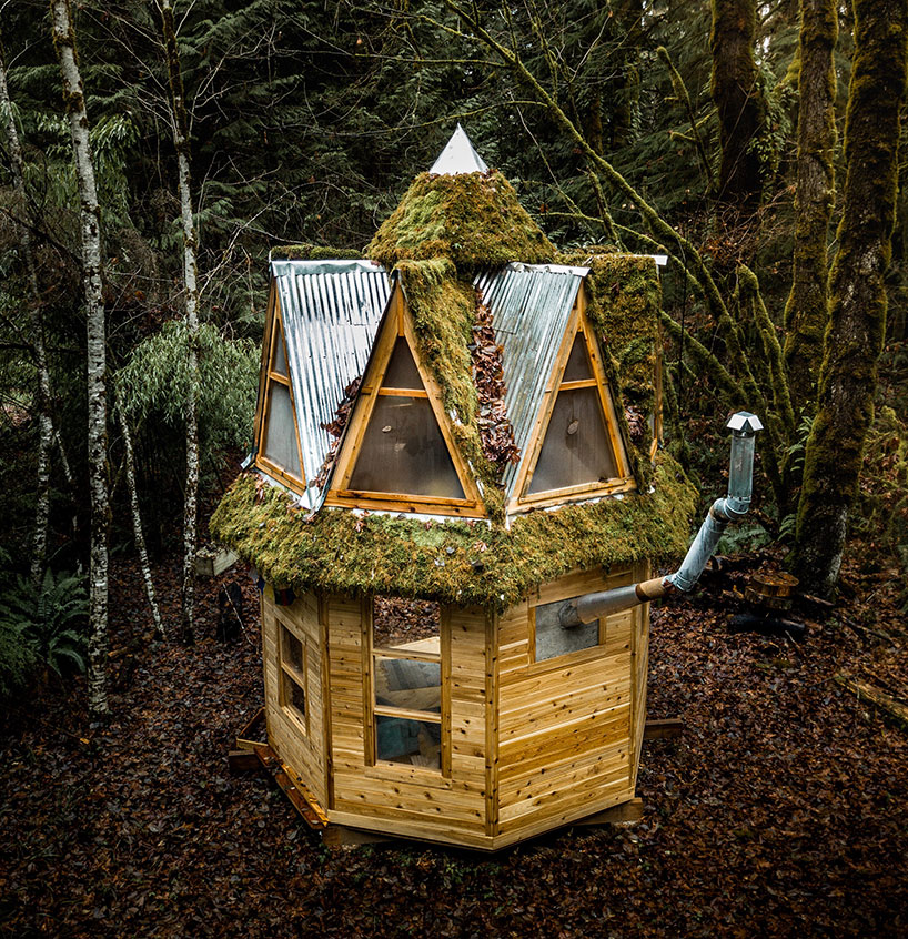 This Tiny Moss Covered Cabin In The Woods Seems Straight Out Of A