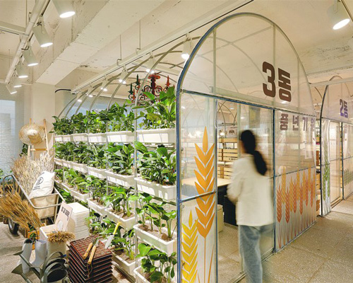 korean studio m4 designs its own office as a succession of farmers' greenhouses