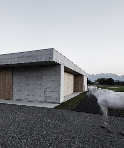 marte marte architects' austrian veterinary practice houses both humans and horses