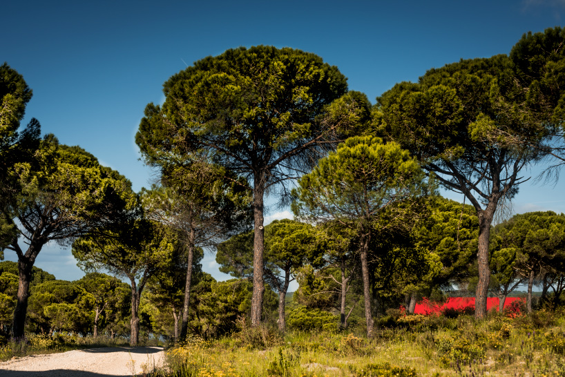 rebelo de andrade red house