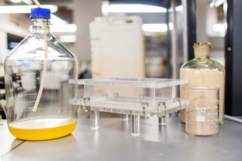 scientists make world's first bio-brick using human urine