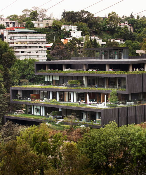 sordo madaleno arquitectos embeds luxury residences into mexico city hillside