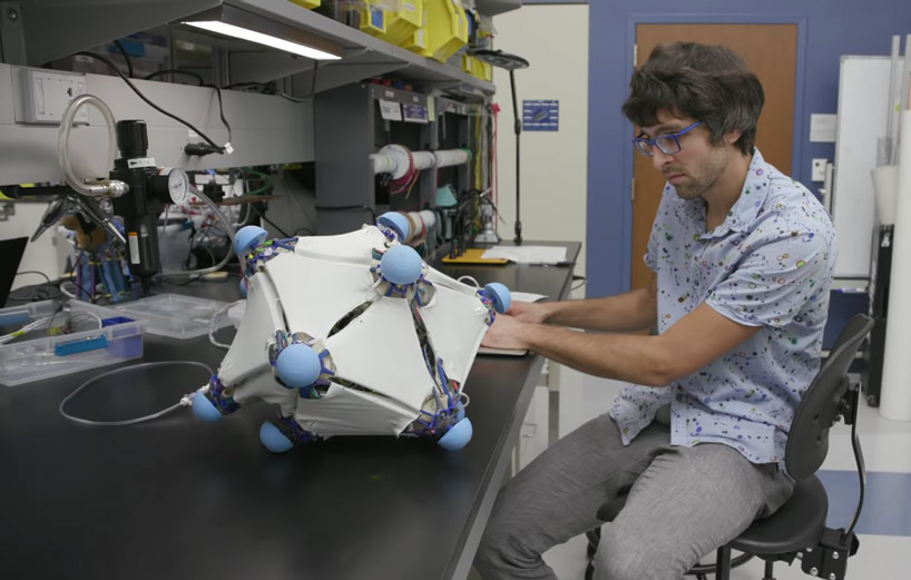 scientists develop a robotic skin that brings life to inanimate toys