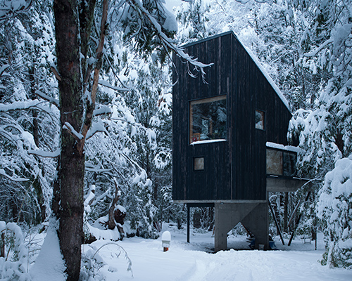 DRAA nestles charred timber 'cabin shangrila' in the woodlands of chile