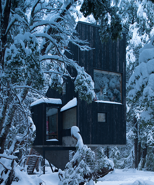 DRAA nestles charred timber 'cabin shangrila' in the woodlands of chile