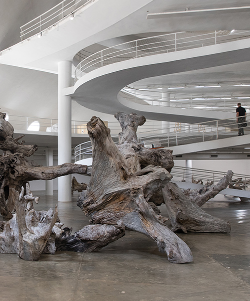 this is the largest ever exhibition staged by chinese artist ai weiwei