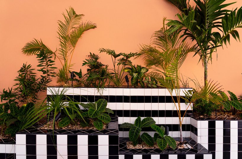 camille walala blends bold graphics with local culture at SALT of palmar hotel in mauritius