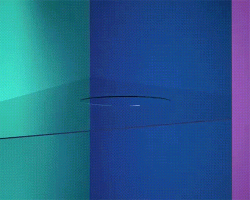 this fantastically strange animation sees squidgy creatures interact with hard surfaces