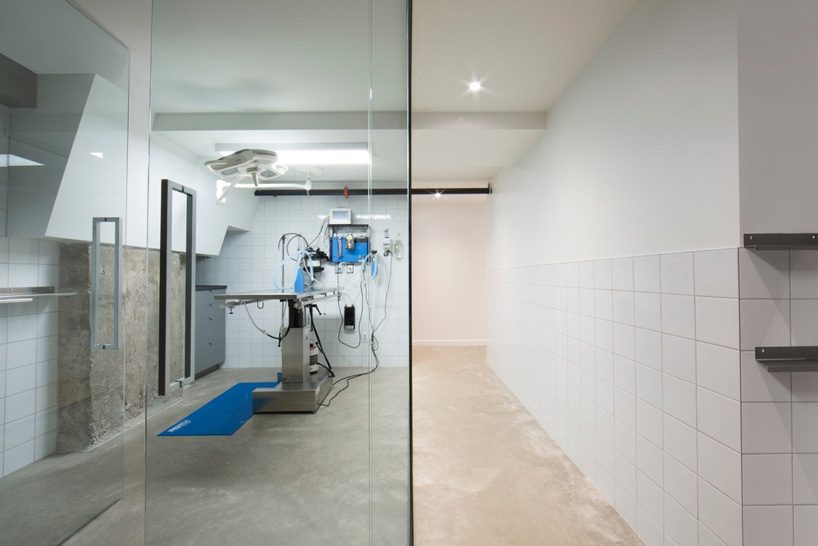 T B A transforms abandoned photo studio into veterinary hospital & residences in montréal