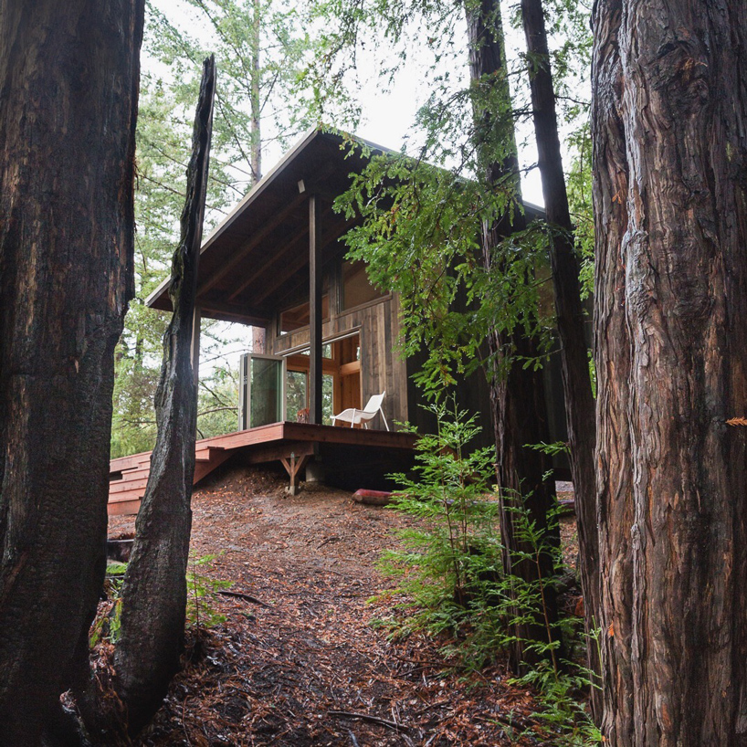 timber cabin with network of decks suspended among california redwoods