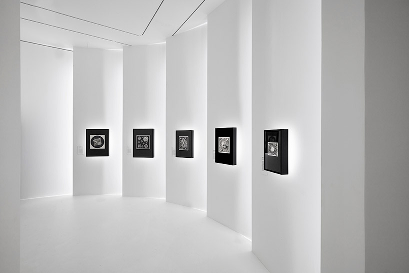 nendo reimagines MC escher's work in immersive exhibition at NGV melbourne