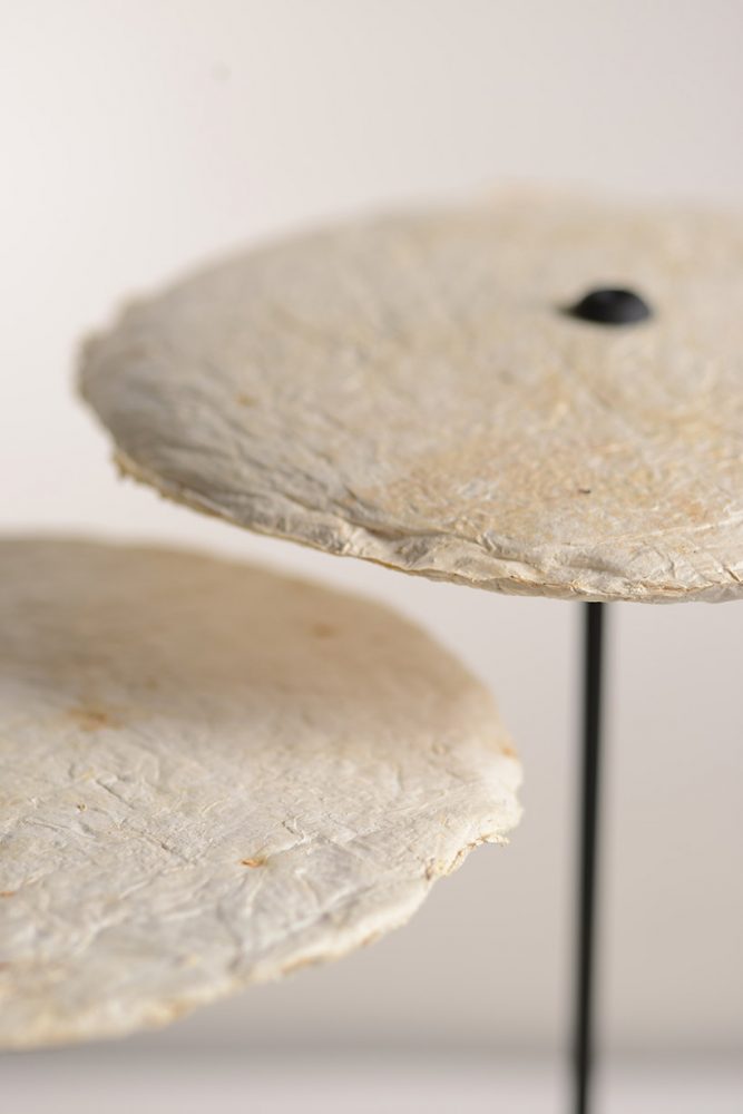 Nir Meiri Shapes Fungi Into Mycelium Lights Lamp Collection