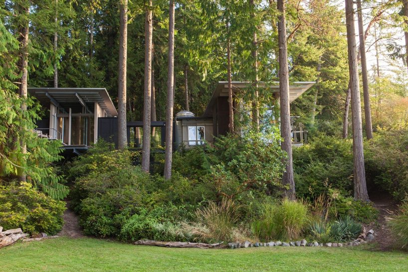 jim olson's remodeled longbranch cabin exists in constant transformation