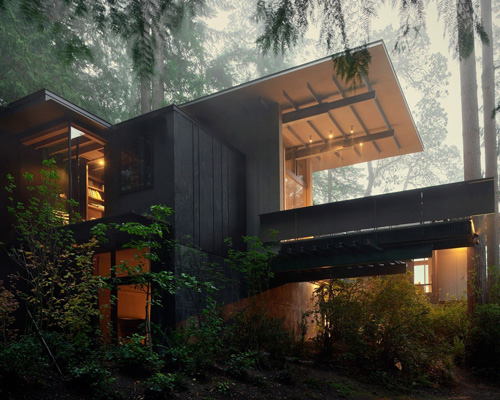 jim olson's remodeled longbranch cabin exists in constant transformation