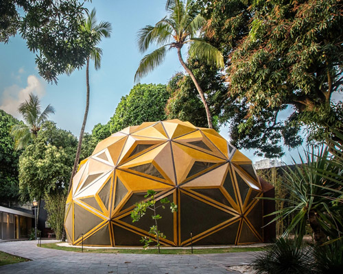 parametric dome-shaped arena in brazil by selvagen is based on the structure of a tree