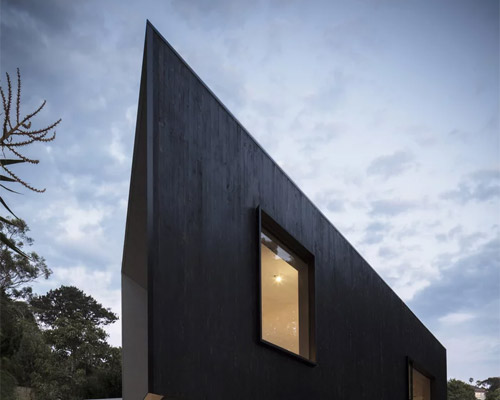 charred timber triangular house in sydney responds to the specific shape of the site