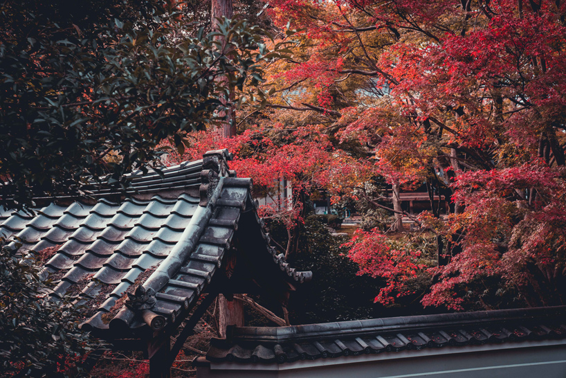 steve roe kyoto photography