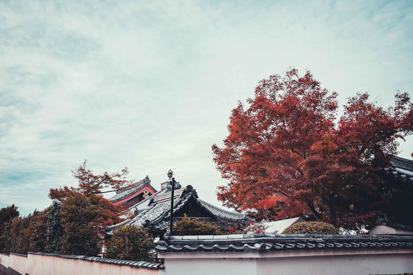 steve roe kyoto photography