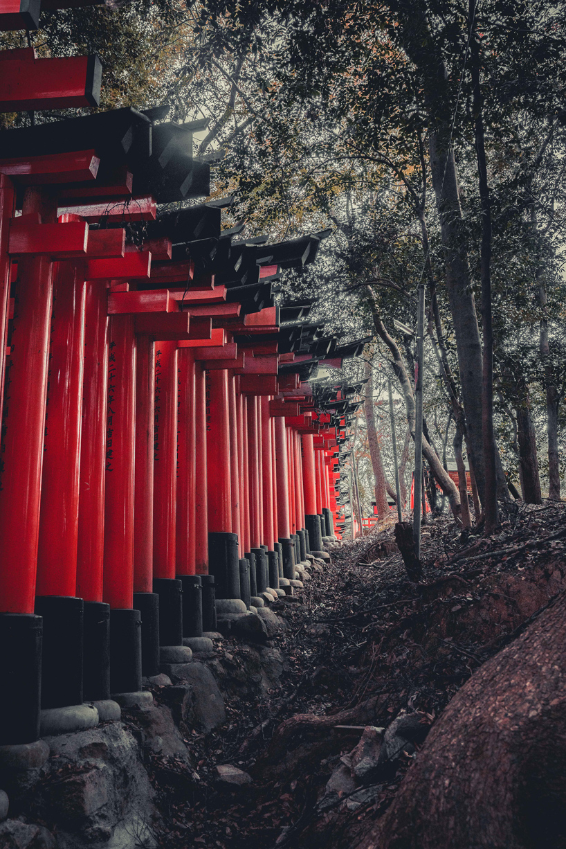 steve roe kyoto photography