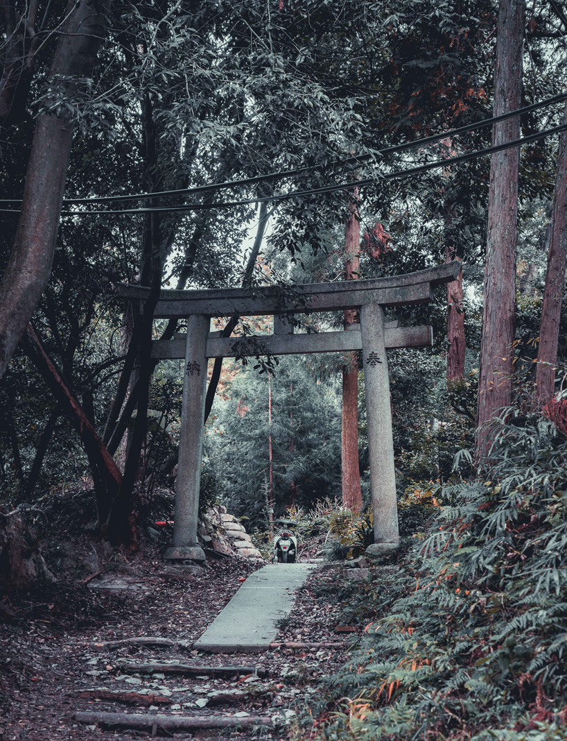 steve roe kyoto photography