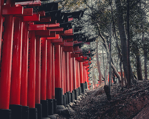 photographer steve roe captures the ancient mysterious stillness of kyoto
