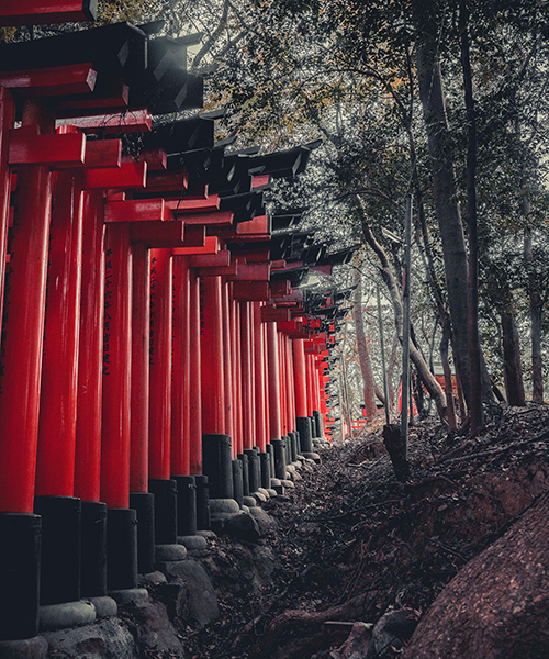 photographer steve roe captures the ancient mysterious stillness of kyoto
