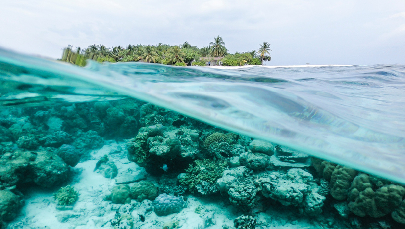 toxic sunscreen damaging coral reefs to be banned in pacific island