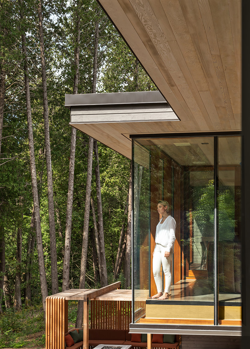 trevor mcivor architect organizes petaluma house around bamboo-filled atrium designboom