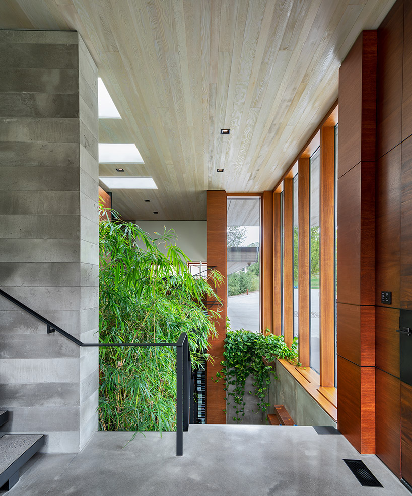 trevor mcivor architect organizes petaluma house around bamboo-filled atrium designboom