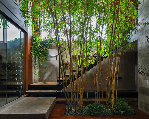 trevor mcivor architect organizes petaluma house around bamboo-filled atrium