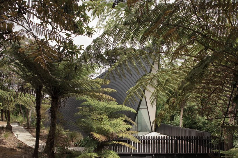 chris tate completes tent-shaped weekend house in new zealand rain forest