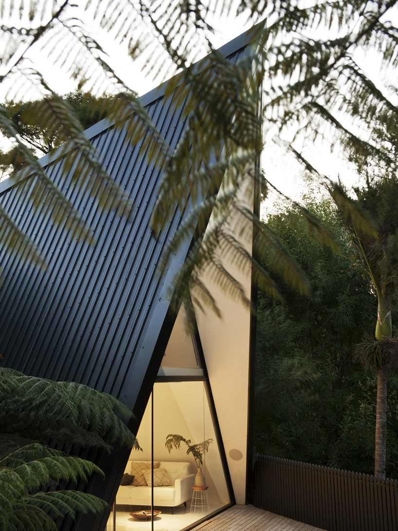 chris tate completes tent-shaped weekend house in new zealand rain forest