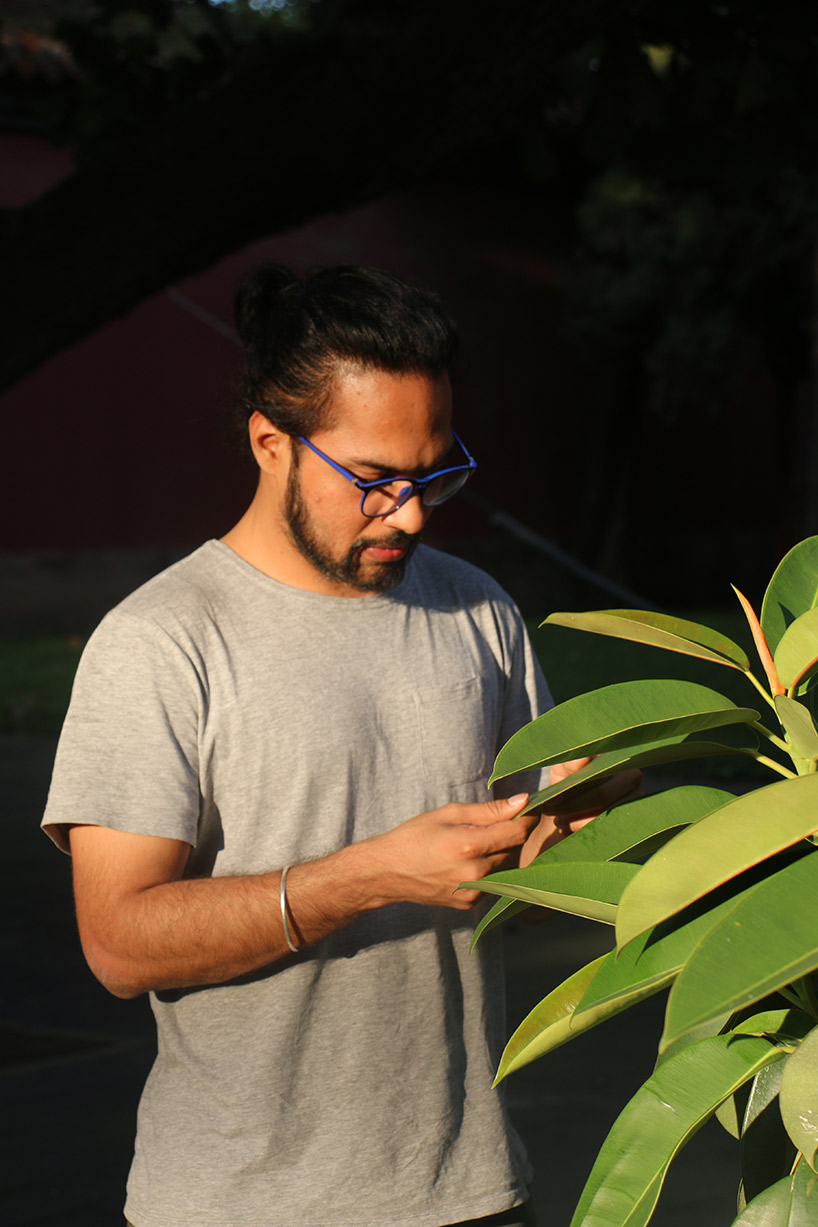 meet elowan, a plant-robot hybrid that knows where the light is designboom