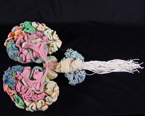 psychiatrist knits anatomically correct model of the human brain