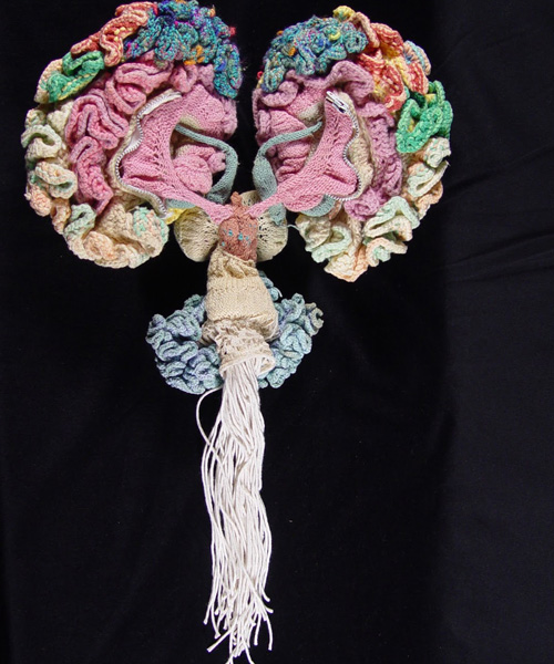 psychiatrist knits anatomically correct model of the human brain