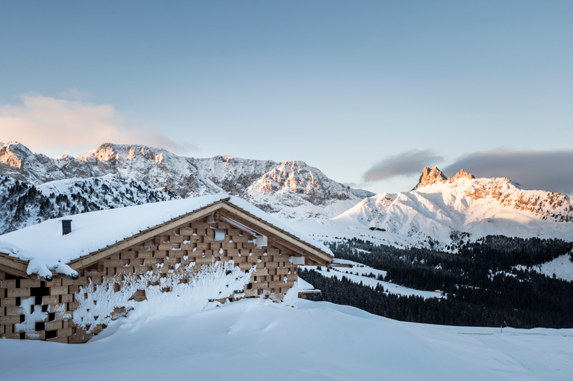 noa zallinger refuge