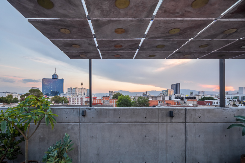 palma escandon terrace mexico city