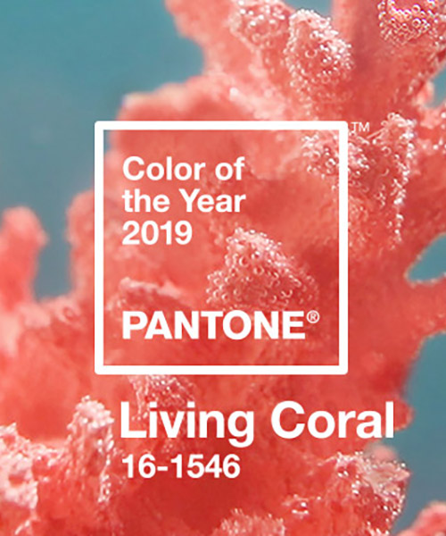 pantone announces 'living coral' as 2019 color of the year