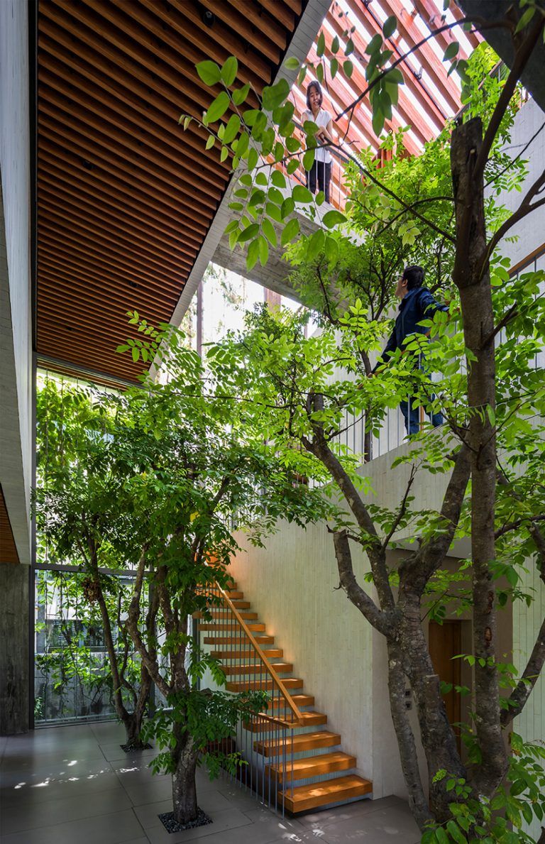 vo trong nghia extends park space into its forested residential interior