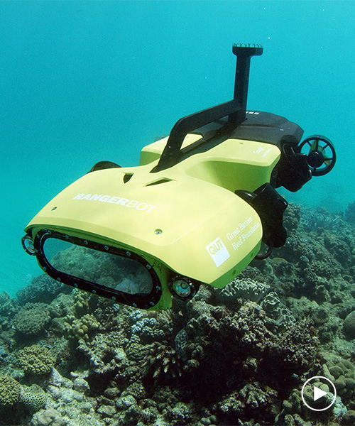 underwater drones are delivering coral babies to the great barrier reef