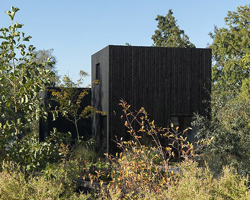this tiny holiday home in the netherlands merges into surrounding nature