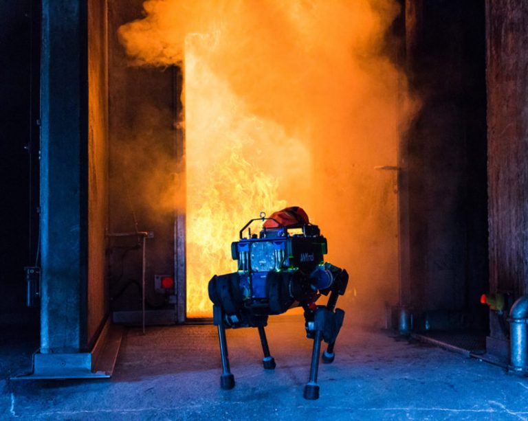 robot dogs in driverless vans are the delivery system of the future