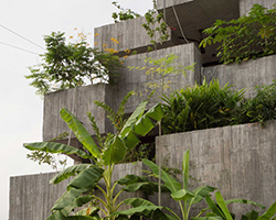 FORMZERO introduces urban farming in malaysia with the planter box house