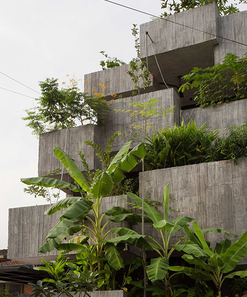 FORMZERO introduces urban farming in malaysia with the planter box house